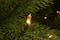 10ft. Pre-Lit Downswept Douglas® Fir Tree, Dual Color LED Lights